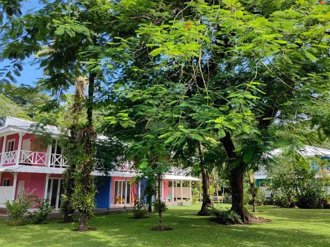 Tortuga Lodge & Gardens By Boeena ตอร์ตูเกโร ห้อง รูปภาพ