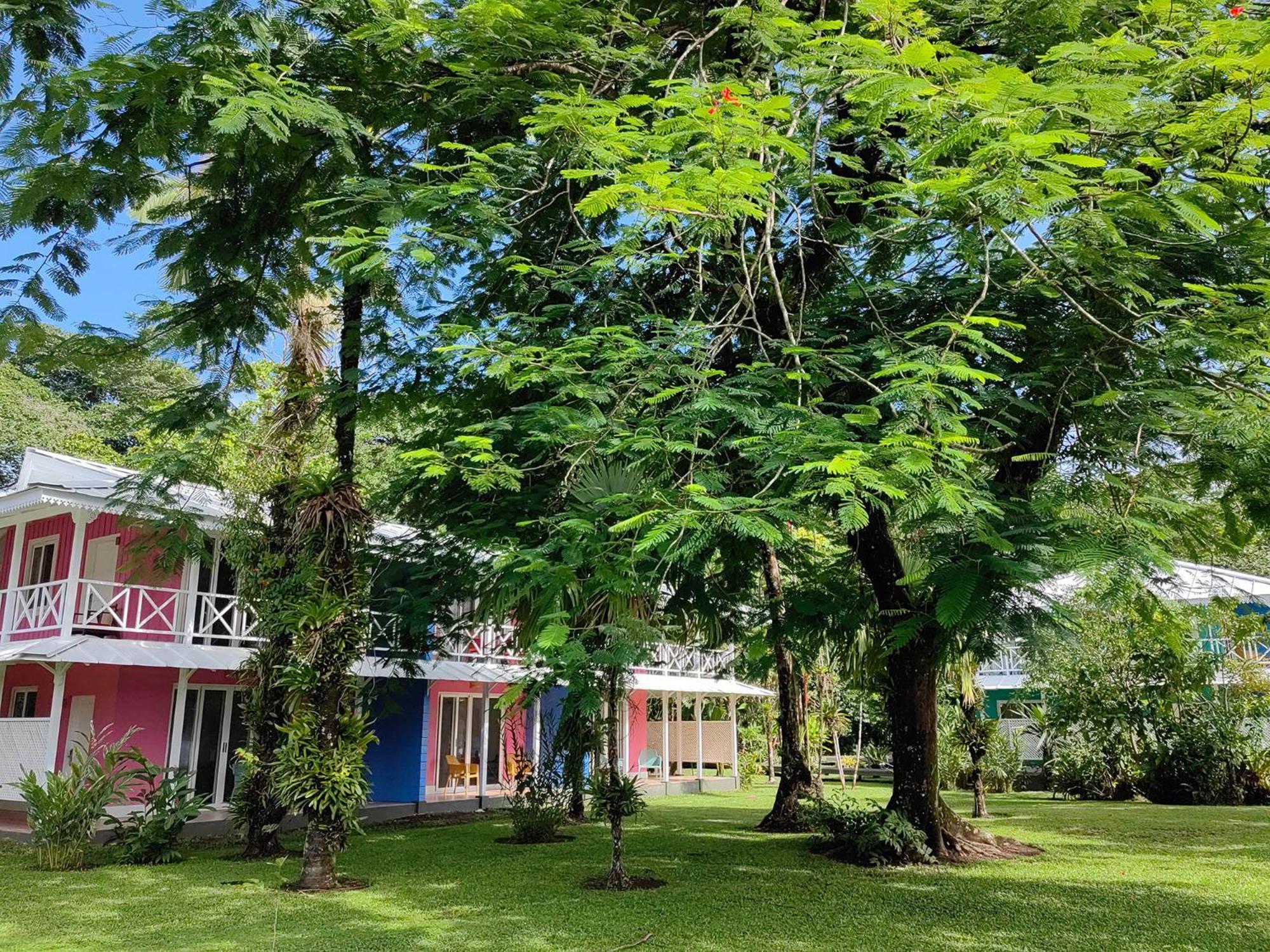 Tortuga Lodge & Gardens By Boeena ตอร์ตูเกโร ภายนอก รูปภาพ